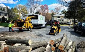 How Our Tree Care Process Works  in  Swoyersville, PA